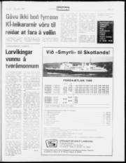 Síða 19