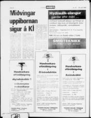 Síða 20