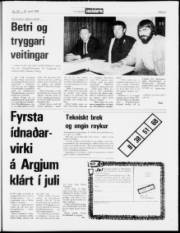 Síða 21