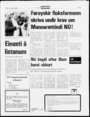 Síða 3