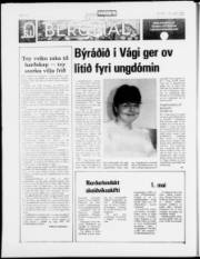 Síða 16