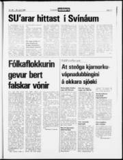 Síða 17