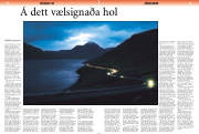 Síða 15