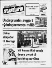 Síða 1