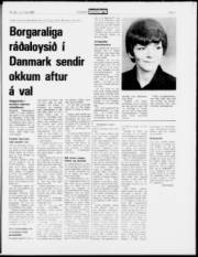 Síða 7