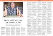 Síða 17