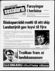 Síða 1