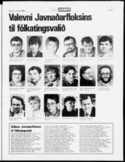 Síða 3