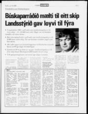 Síða 7