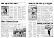 Síða 8