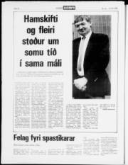Síða 18