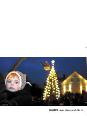 Síða 21
