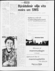 Síða 19