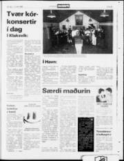 Síða 23