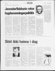 Síða 13