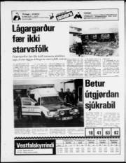Síða 22