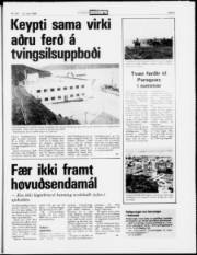Síða 5
