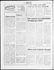 Síða 6