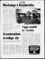 Síða 7