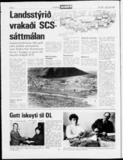 Síða 2
