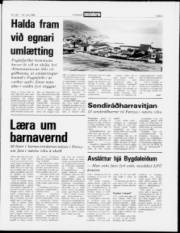 Síða 3