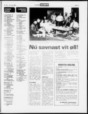 Síða 13