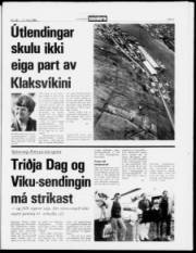 Síða 3