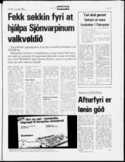 Síða 5