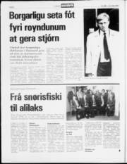 Síða 8