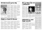 Síða 9