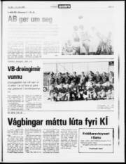 Síða 15