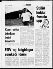 Síða 3