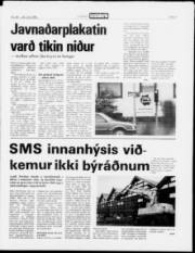Síða 3