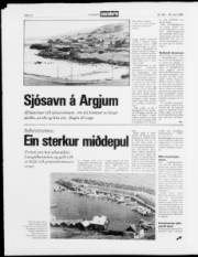 Síða 12