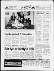 Síða 24