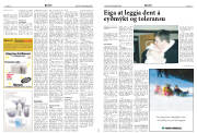 Síða 14