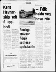 Síða 5