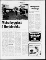 Síða 15