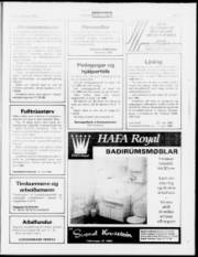 Síða 17