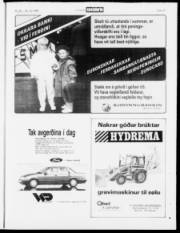 Síða 19