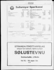 Síða 20