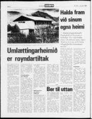 Síða 2