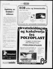 Síða 17