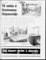 Síða 19