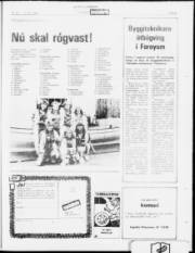 Síða 21