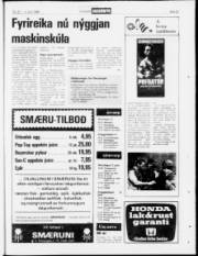 Síða 23