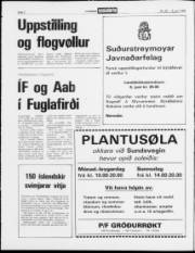 Síða 2