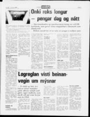 Síða 5
