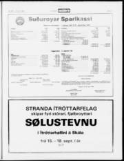 Síða 17