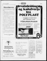 Síða 21